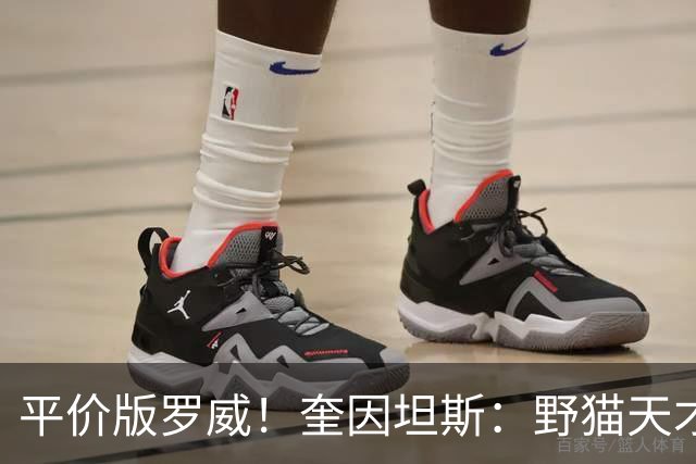 平价版罗威！奎因坦斯：野猫天才内线 存伤病隐患 罚球致敬米切罗