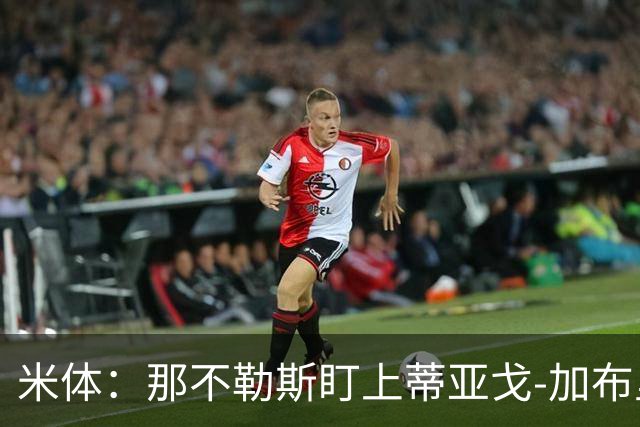 米体：那不勒斯盯上蒂亚戈-加布里埃尔，要求至少2000万欧